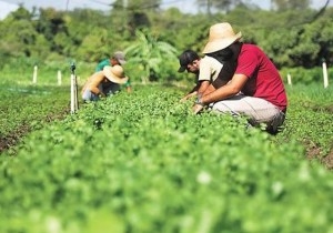 Prefeitura de Paulo Afonso Aquisição de gêneros da Agricultura Familiar para merenda escolar é tema de reunião