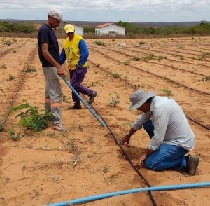 Famílias da área rural serão beneficiadas com reativação de casas da farinha