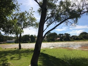 Prefeitura de Paulo Afonso Limpeza do Lago Touro e a Sucuri será realizada nos próximos dias