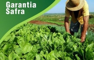 08b60ea1a8c159d2bd43c42db089capajpg Prefeitura de Paulo Afonso Inscrição do Programa Garantia Safra segue até fevereiro