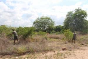 Prefeitura de Paulo Afonso Parceria entre Sema e Exército tem como foco limpeza do lago da Vila Militar