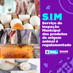 Prefeitura de Paulo Afonso Serviço de Inspeção Municipal dos produtos de origem animal é regulamentado