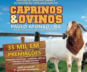 VI Exposição Especializada de Caprinos e Ovinos conta com a premiação de R$ 35 mil e shows de Saia Rodada e Gaviões do Forró