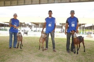 Expo Paulo Afonso prossegue no fim de semana