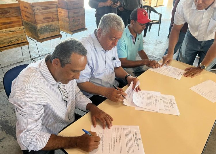 Em mais uma entrega de caixas de colméia, Prefeitura garante incentivo para a produção de mel no município