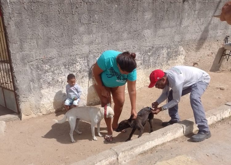 Primeira semana da Campanha Antirrábica vacina cerca de 1.400 animais em 17 povoados