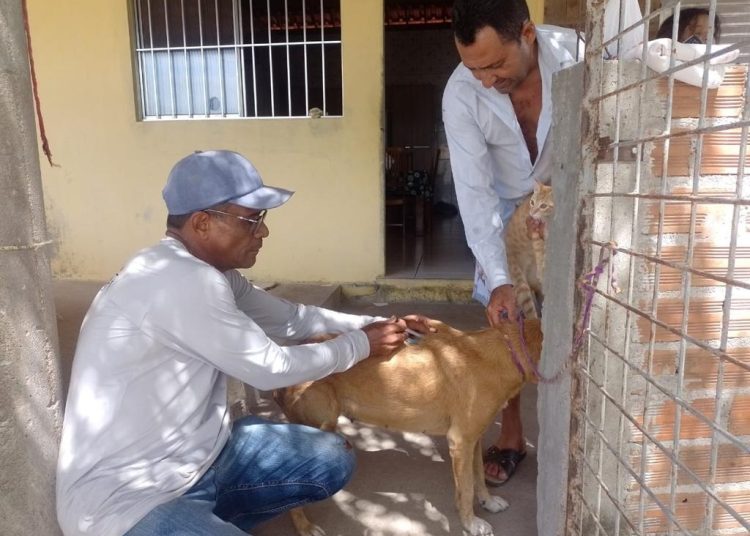 ANTIRRÁBICA SEGUNDA SEMANA 01 Prefeitura de Paulo Afonso Em duas semanas da Campanha de Vacinação Antirrábica na área rural foram vacinados mais de 2.800 animais