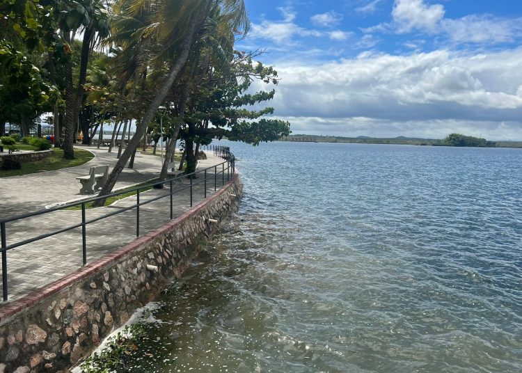 Obra de requalificação do Parque Belvedere está em fase final e limpeza do lago será concluída nesta quinta-feira (17)