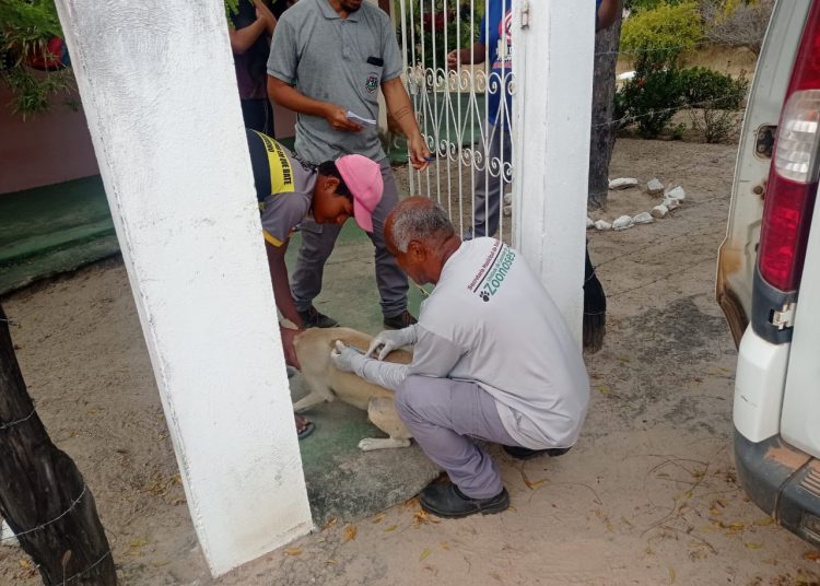 Campanha Antirrábica teve início nesta segunda (31) com vacinaçãode 329 animais nos povoados Boa Esperança e Açude