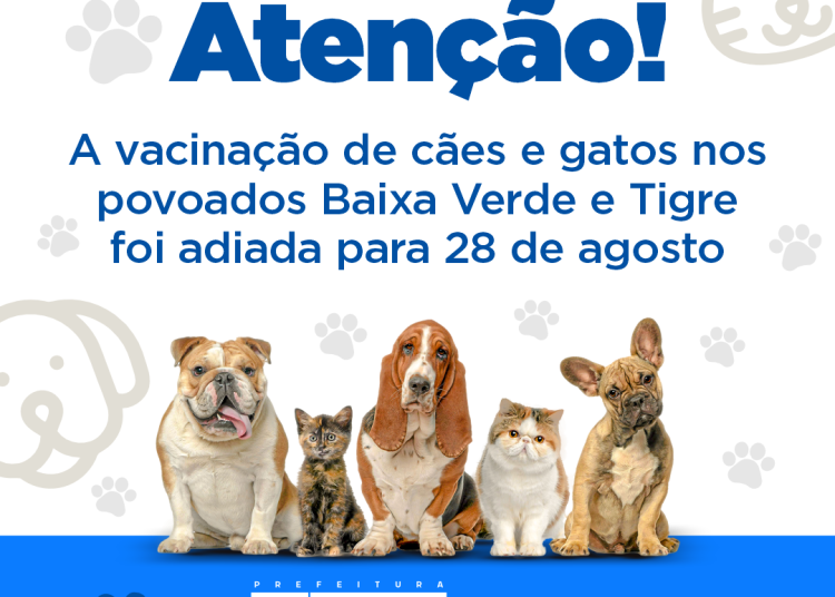 Vacinação de cães e gatos nos povoados Baixa Verde e Tigre é adiada para 28 de agosto