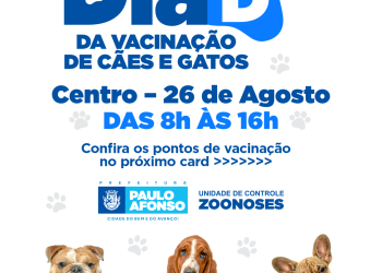 Dia D da Vacinação Antirrábica acontece neste sábado (26) no Centro e bairros da Ilha
