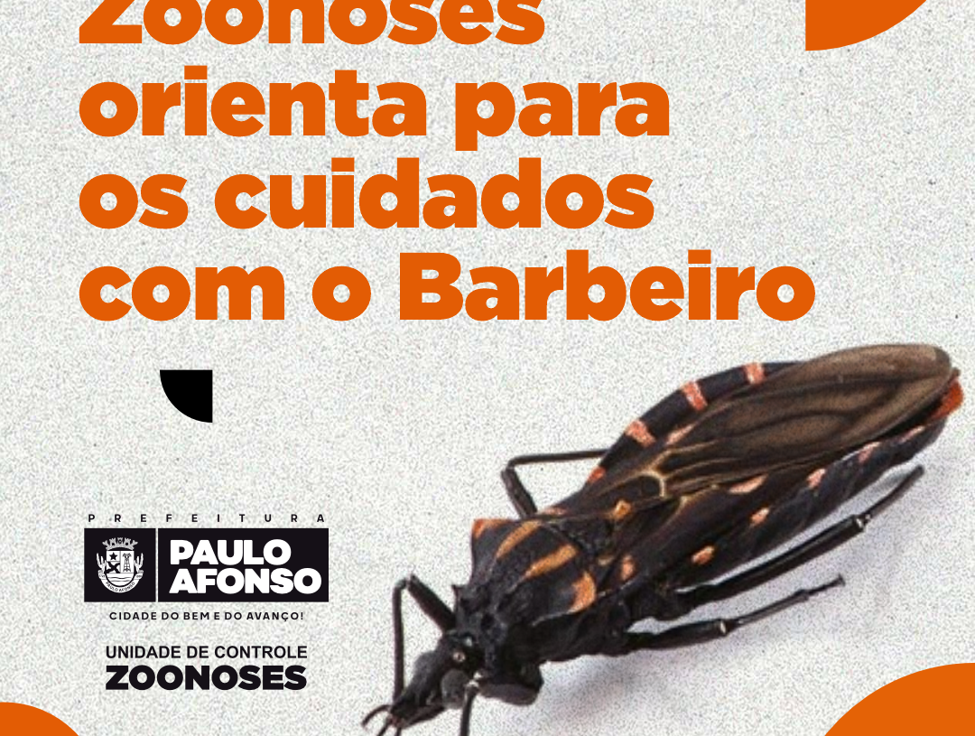 Zoonoses orienta para os cuidados com o Barbeiro, inseto transmissor da Doença de Chagas