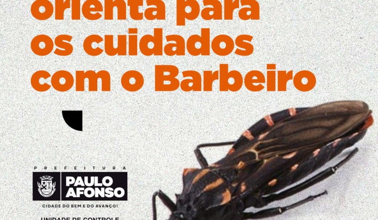 Zoonoses orienta para os cuidados com o Barbeiro, inseto transmissor da Doença de Chagas