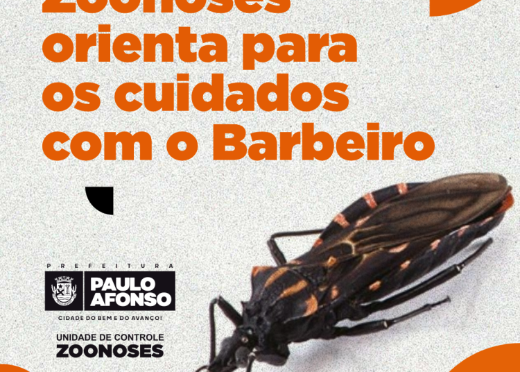 BARBEIRO capa Prefeitura de Paulo Afonso Zoonoses orienta para os cuidados com o Barbeiro, inseto transmissor da Doença de Chagas