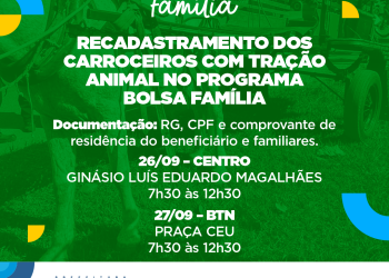Bolsa Família convoca carroceiros que trabalham com tração animal para recadastramento