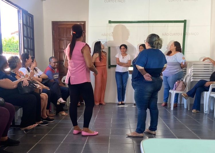 Equipes do Núcleo Desenvolver e CAPS AD participam de treinamento