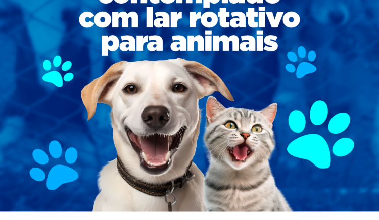 Paulo Afonso é contemplado com lar rotativo para animais