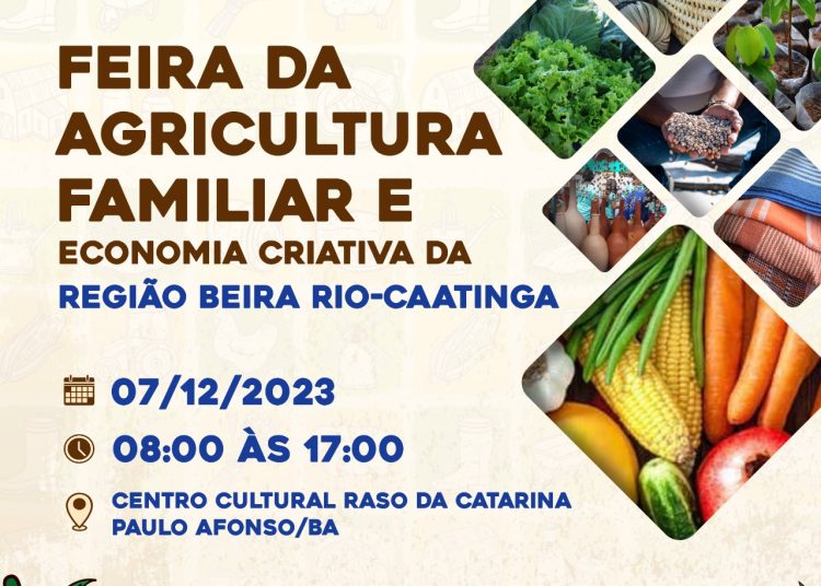 Prefeitura de Paulo Afonso IV Feira da Agricultura Familiar e Economia Criativa acontece no dia 7 de dezembro com o apoio da Prefeitura