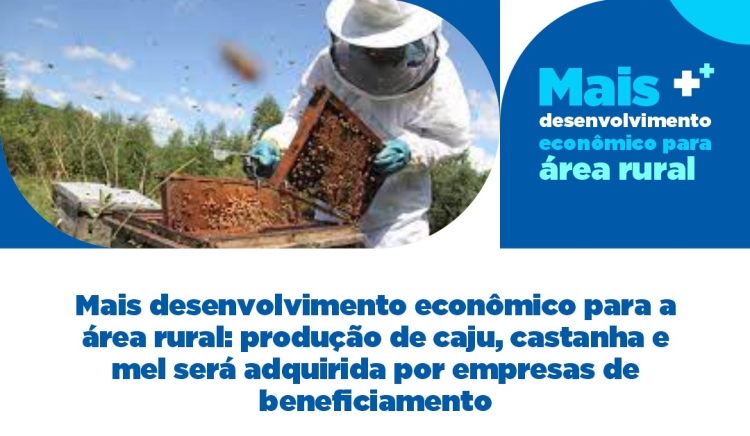 Mais desenvolvimento econômico para a área rural: produção de caju, castanha e mel será adquirida por empresas de beneficiamento