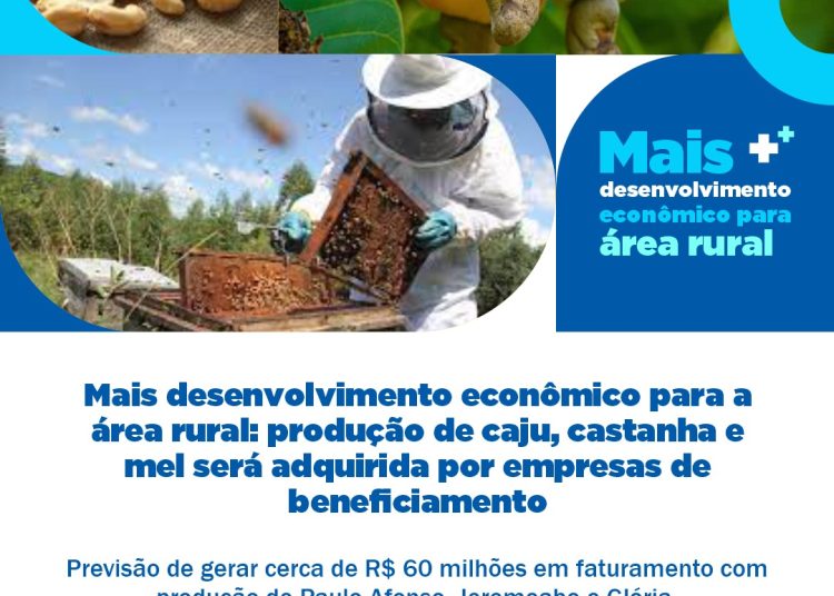 Mais desenvolvimento econômico para a área rural: produção de caju, castanha e mel será adquirida por empresas de beneficiamento