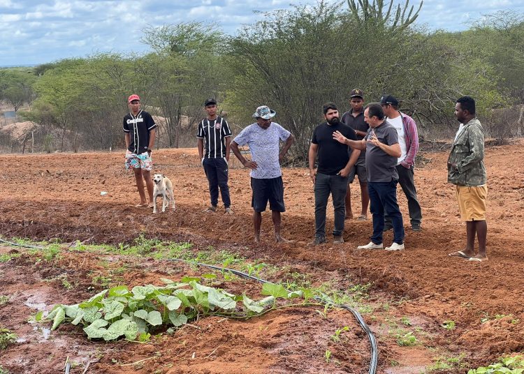 SEAGRI E ALDEIA TRUKÁTUPAN 02 Prefeitura de Paulo Afonso Aração de terra tem continuidade e beneficia Aldeia Truká-Tupan