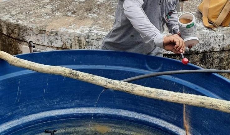 Com chegada das fortes chuvas, Zoonoses intensifica ações de combate ao mosquito da dengue com visitas e caminhada de conscientização