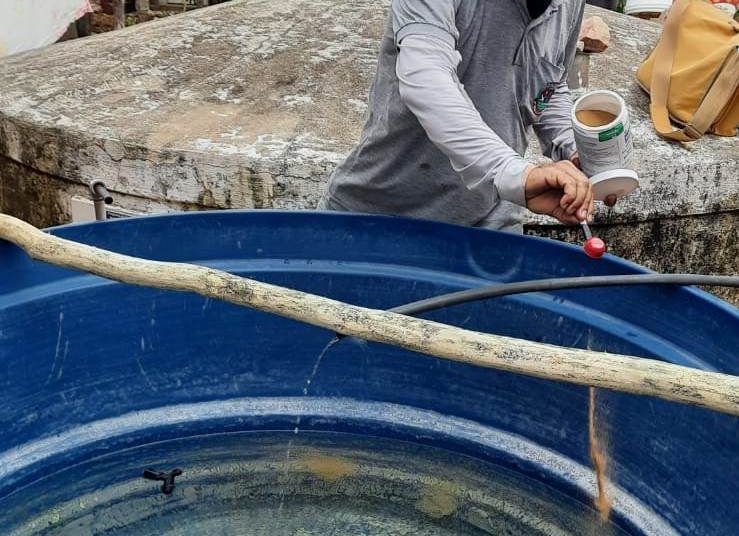 Com chegada das fortes chuvas, Zoonoses intensifica ações de combate ao mosquito da dengue com visitas e caminhada de conscientização