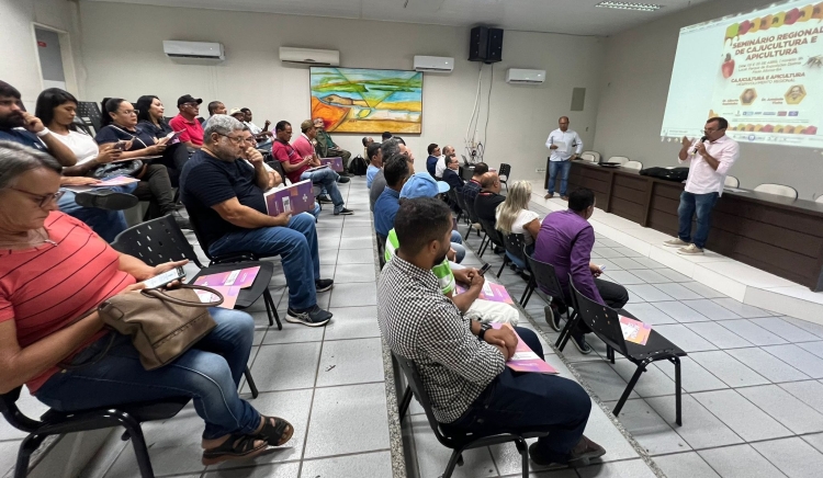 Encontro sobre cajú e mel objetiva unir municípios e fortalecer a produção das culturas na região