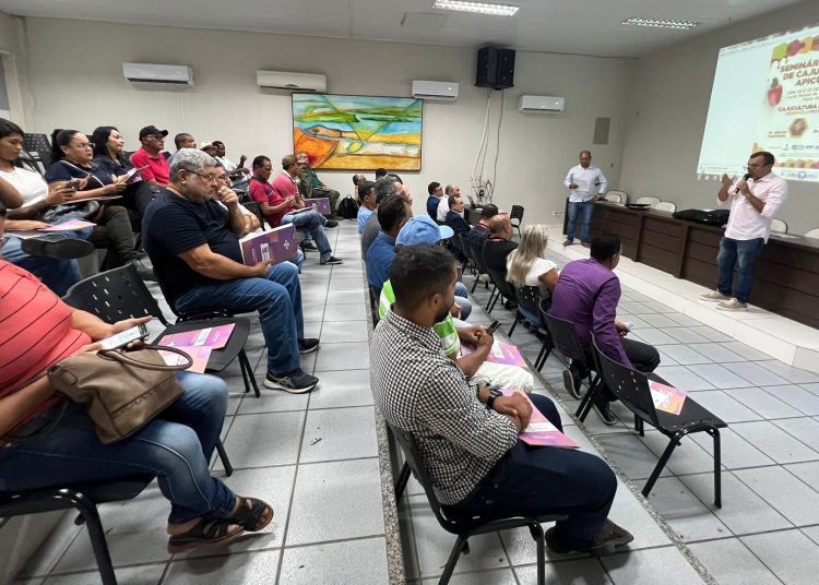Encontro sobre cajú e mel objetiva unir municípios e fortalecer a produção das culturas na região