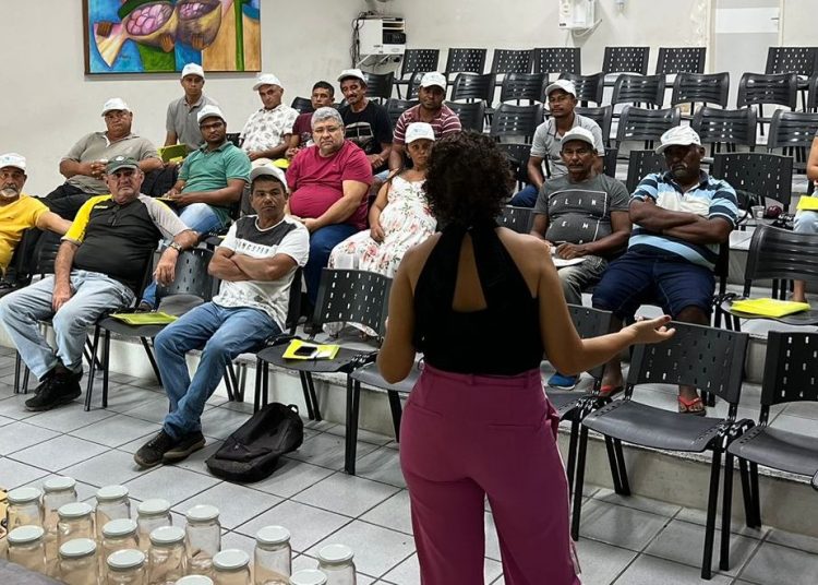 CURSO DE APICULTURA 01 Prefeitura de Paulo Afonso Secretaria de Agricultura, em parceria com a Embrapa, Univasf e Projetos Lagos do São Francisco, realiza minicurso de Apicultura para produtores