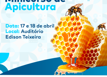 Seagri promove minicurso de Apicultura nesta quarta (17) e quinta (18)