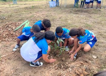 Atividades alusivas à Semana do Meio Ambiente seguem com arborização urbana e peixamento