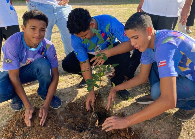 Plantio de mudas é realizado durante programação da Semana do Meio Ambiente
