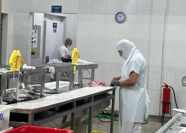 Prefeitura introduz filé de tilápia na merenda escolar e aquisição será feita da Associação de Produtores da Lagoa do Junco