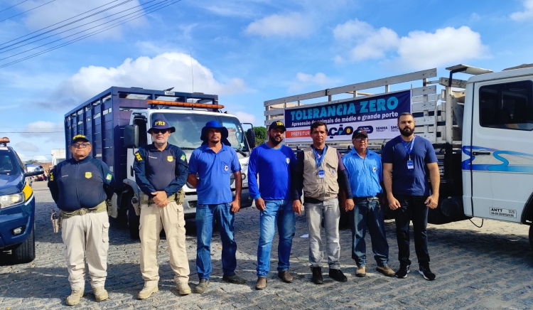 Prefeitura de Paulo Afonso intensifica fiscalização para garantir segurança e bem-estar animal
