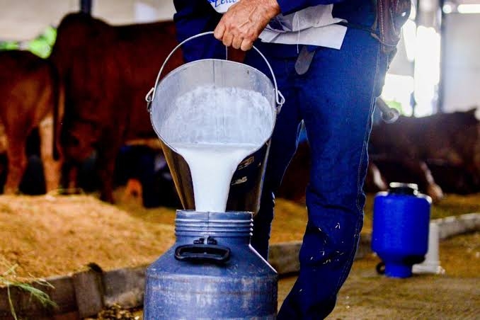 2º Torneio Leiteiro de Paulo Afonso destaca força da produção rural no Sítio do Tará