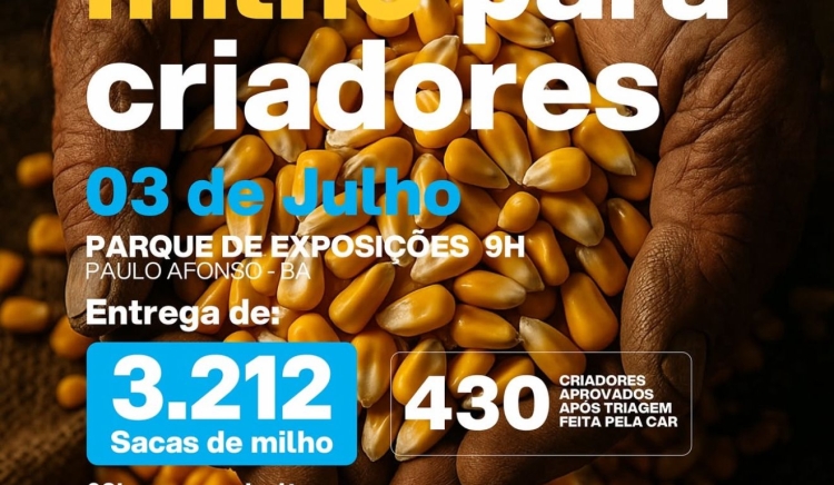 Prefeitura de Paulo Afonso inicia entrega de 3.212 sacas de milho a criadores afetados pela estiagem
