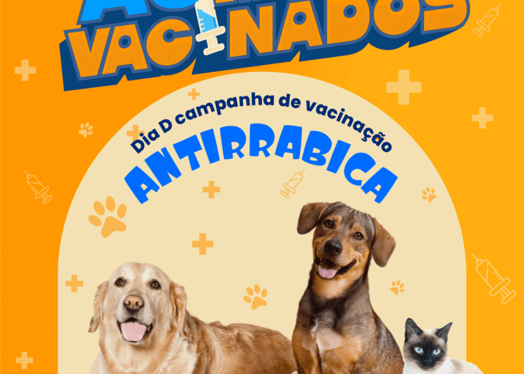 Prefeitura de Paulo Afonso promove Dia D de Vacinação Antirrábica no BTN