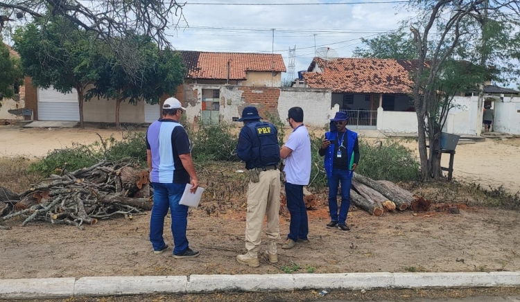 Prefeitura de Paulo Afonso e PRF realizam ação conjunta de combate ao desmatamento