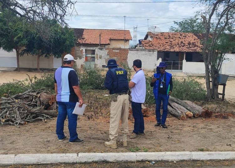 Prefeitura de Paulo Afonso e PRF realizam ação conjunta de combate ao desmatamento
