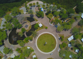 [VÍDEO] Parque Belvedere passa por revitalização com foco na preservação ambiental e segurança da população