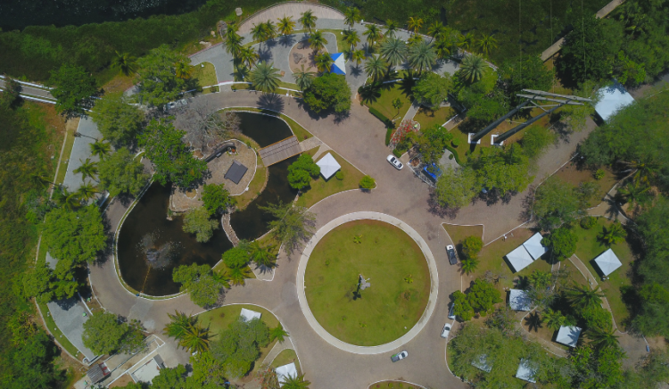 [VÍDEO] Parque Belvedere passa por revitalização com foco na preservação ambiental e segurança da população