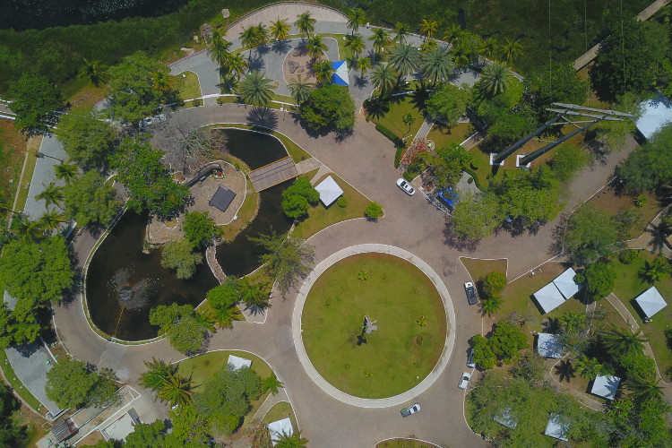 [VÍDEO] Parque Belvedere passa por revitalização com foco na preservação ambiental e segurança da população
