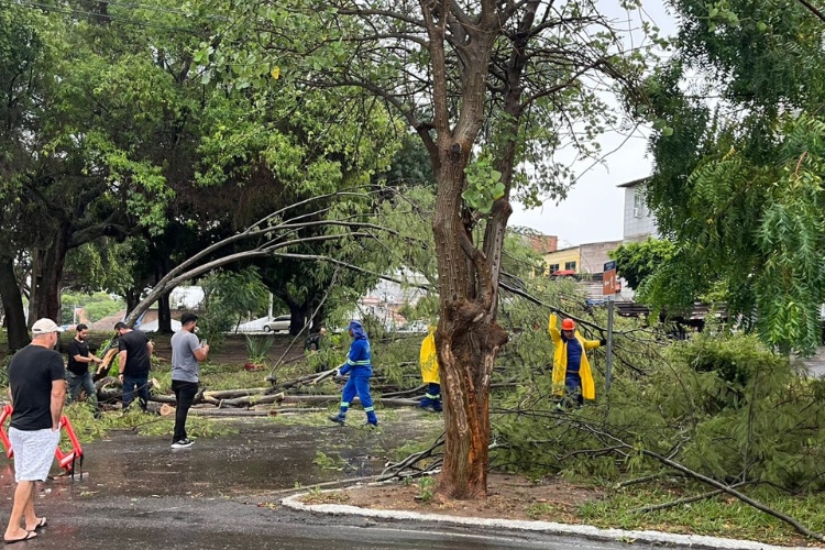 Equipes da Prefeitura atuam para minimizar danos e garantir segurança da população após ventos fortes