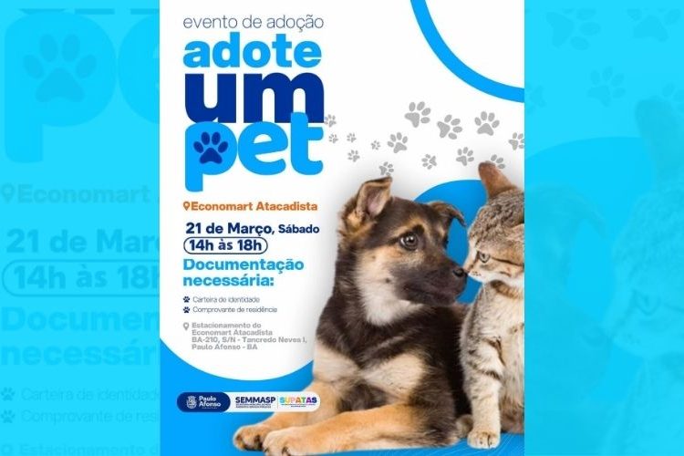 A espera de um lar, cães e gatos estarão em evento de adoção que acontece neste sábado, 21: veja como adotar