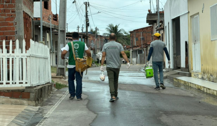 Paulo Afonso avança na proteção animal: mais de 1.200 cães e gatos são vacinados em ação porta a porta