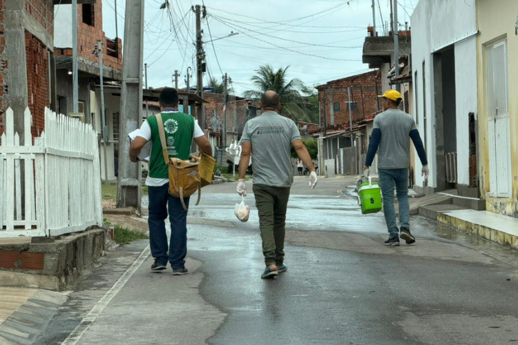 Paulo Afonso avança na proteção animal: mais de 1.200 cães e gatos são vacinados em ação porta a porta