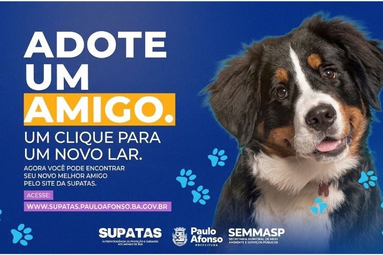 Município lança plataforma digital para adoção responsável de animais
