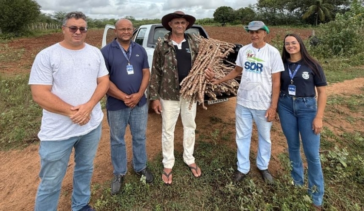 Produtores recebem mudas de nova variedade de mandioca através do projeto Lagos do São Francisco