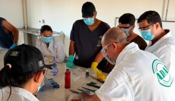Prefeitura de Paulo Afonso Equipe da Secretaria de Desenvolvimento Rural participa de capacitação para prevenção e controle da raiva e outras doenças no rebanho promovida pela ADAB